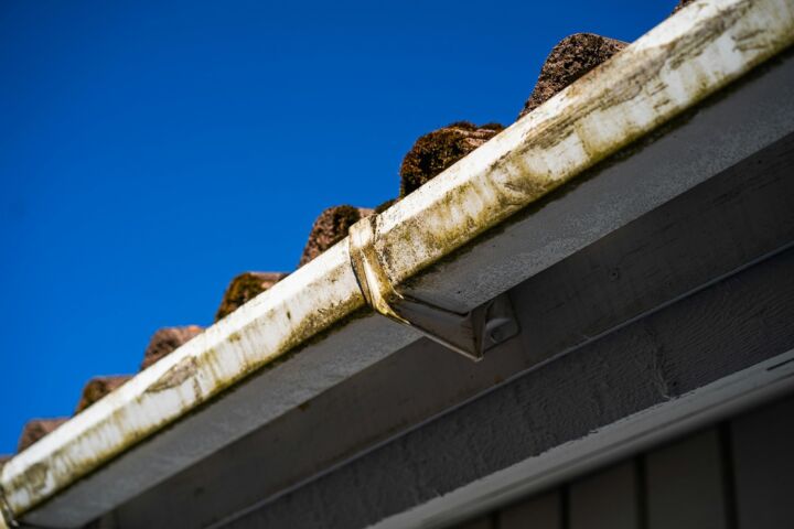 Leaves and debris collected along a gutter and roofline